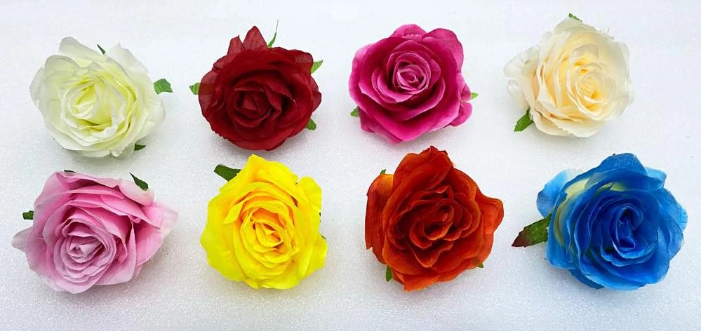 Rose Open New